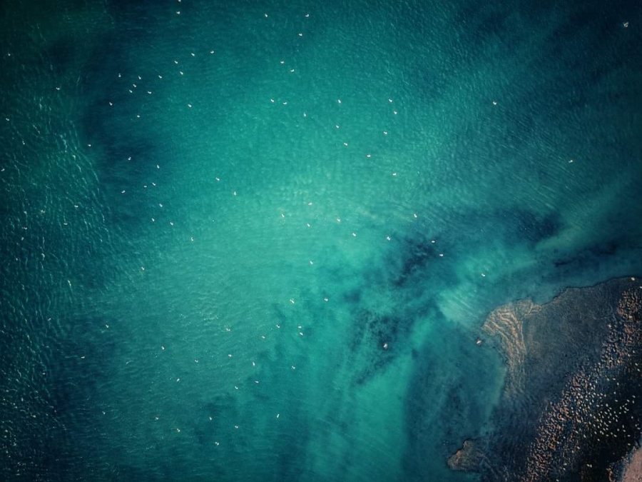 0 Bedroom Property for Sale in Port Owen Western Cape